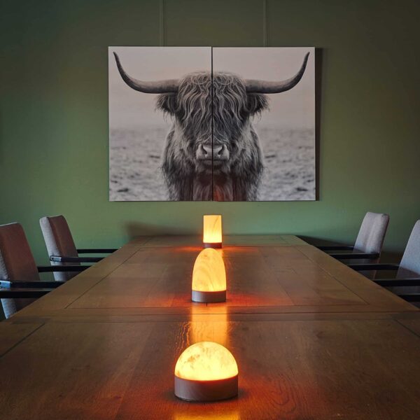 Een houten tafel met drie DORSETTO oplaadbare tafellampen (105 uur, marmer wit/grijs houtlook, waterdicht, afstandsbediening) staat in het midden onder een zwart-wit foto van een hooglandkoe, geflankeerd door grijze stoelen tegen een groene muur.