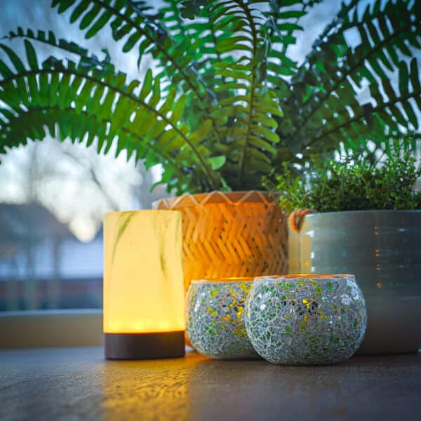 Twee potplanten staan op een vensterbank naast een gloeiende kaars en twee Theelichthouder DORSETTO 9 cm donker groen, met zacht natuurlijk licht door het raam op de achtergrond.